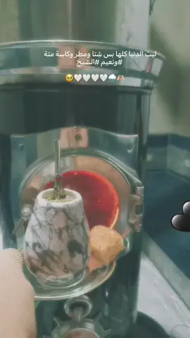 أصَعب شي وَقت ألرووح بتشتااق H😔🫶🏻🤍.#نعيم_الشيخ #حسين_حوراني #عتابا_مواويل #حب #مته_العشق_الاخضر٠💚 