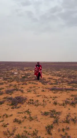 #حمدان #طاط 😂✌️