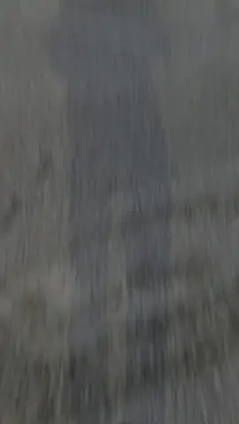 وفحبو ماليش طموح 😖. #viral 