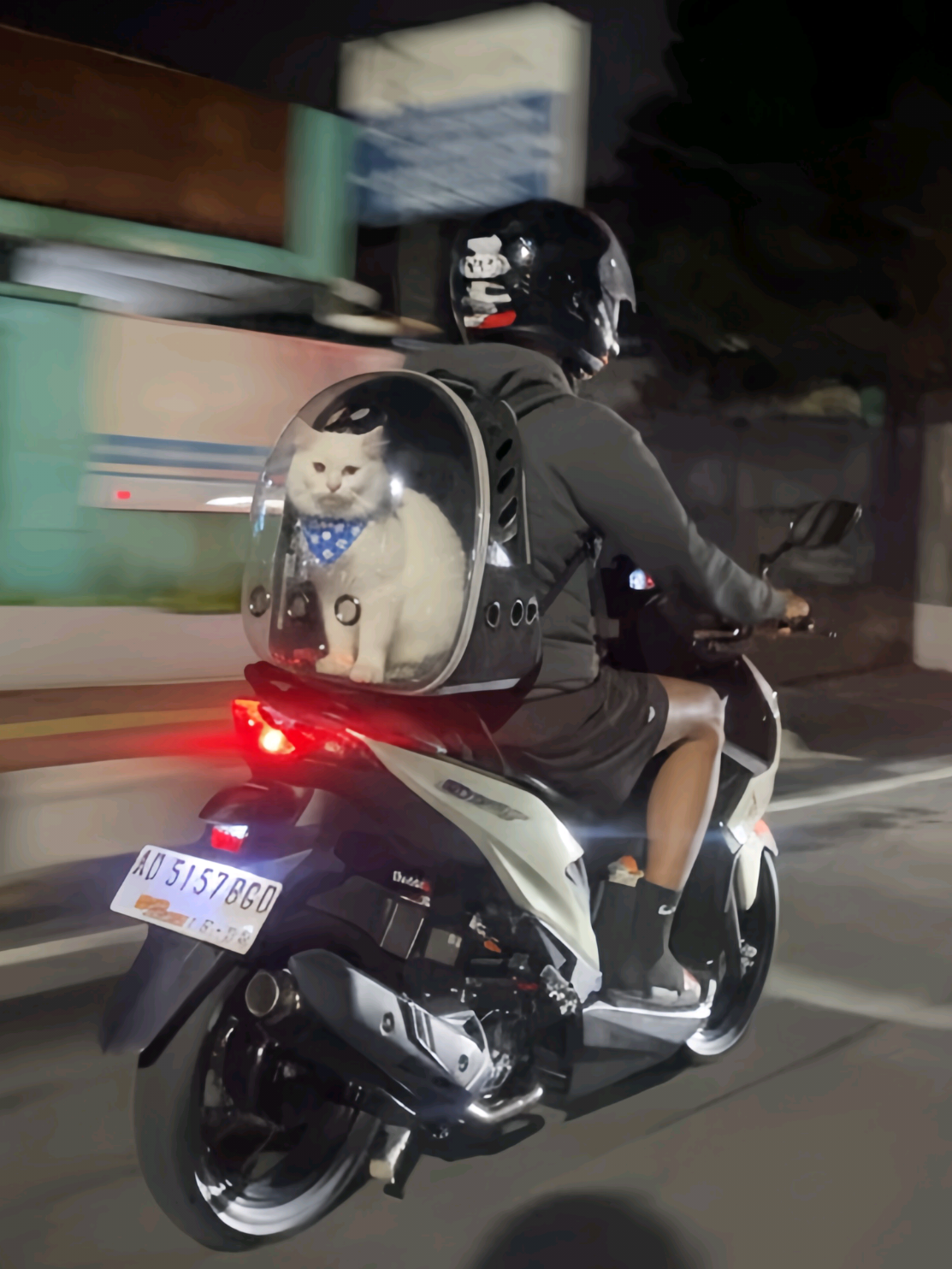 nyaman yak?🤪 izinn🫸 #fyp #beatdeluxe #lewatberanda 