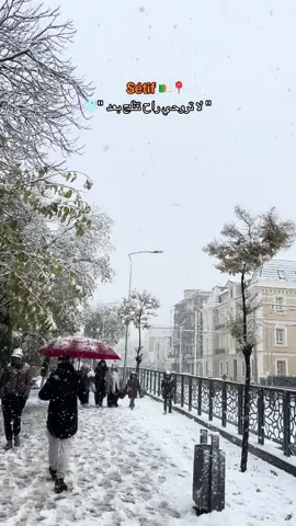 It’s snowing here 😍😍❄️🤍#سطيف_العالي_ٱخاالي #wintervibes #ثلج #🇩🇿🇲🇦🇹🇳 #Explore 