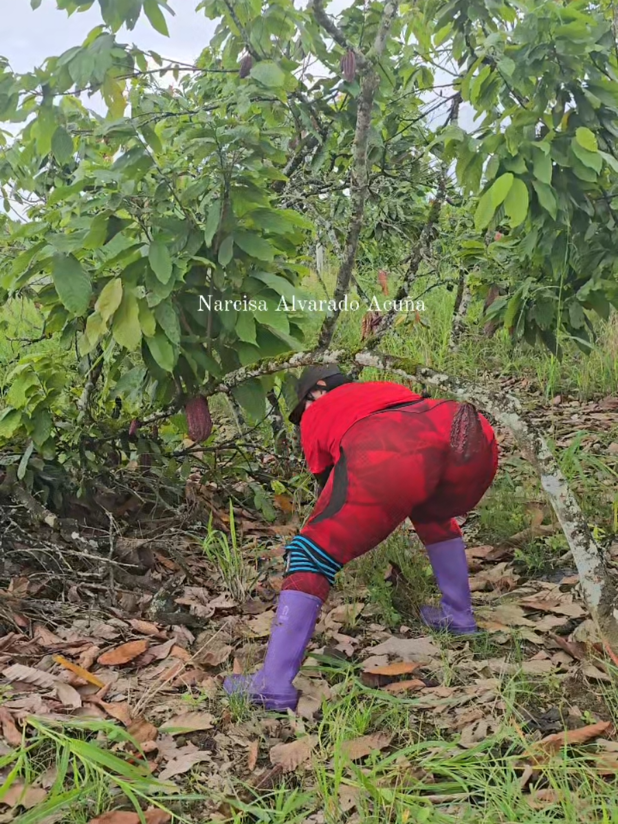 No es que yo quiero pero las oportunidades de mostrarles se dan jajaja #fblifestyle #reelsvideoシ #reelsviralシ #trabajo #campo 