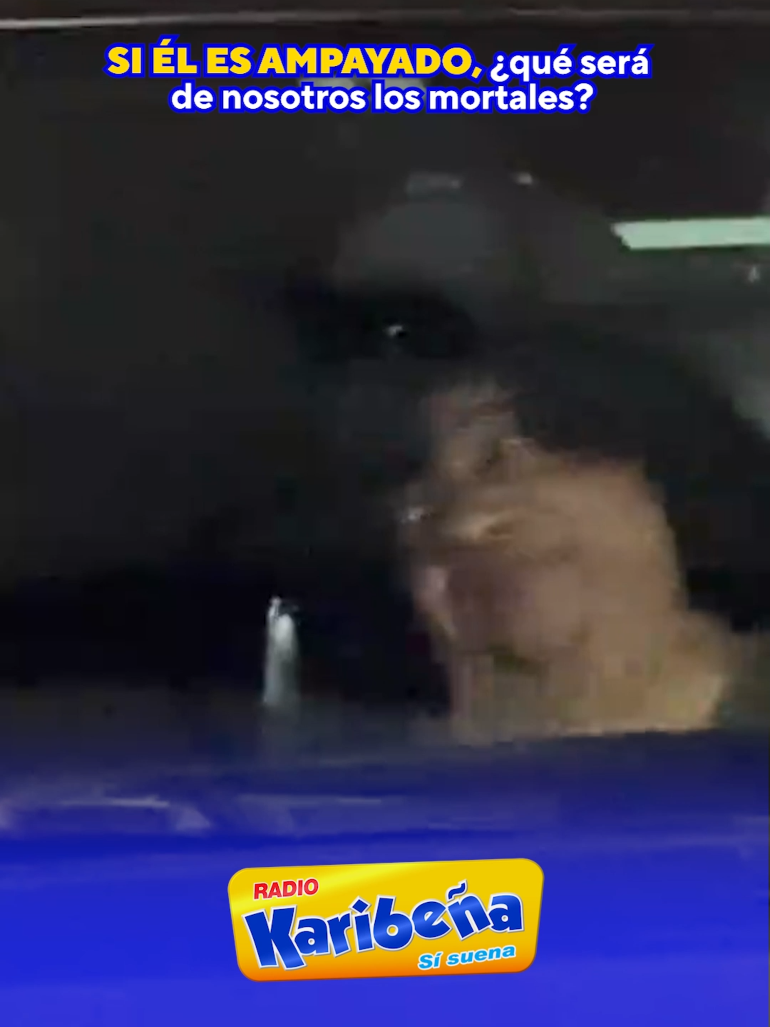 🔥 ¿Es real, armani o IA? 🔥😱 📻 94.9 FM 📺 Karibeña TV 6.2 . . #Karibeña #humor #Ampay #CarlosVílchez