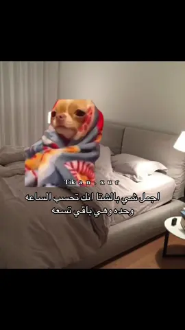 #اكسبلور #رياكشن #ميمز #fyp 