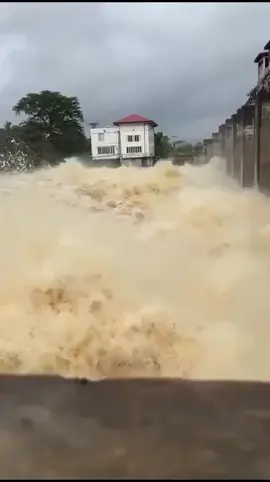 ඉතිහාසයේ පලමු වතාවට.......රුදුරු වූ දැදුරු ඔය  #දැදුරු_ඔය_ඩෑම්💦😎 හැමෝම පරිස්සමෙන් 🙏🌧️🥺 #thakshi_madu0 