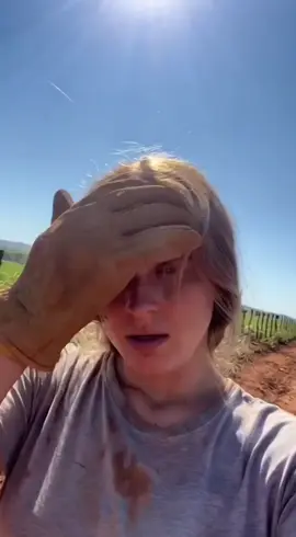 Boa tarde pra quem não almoçou ainda kk #fyp #foryoupage #agro #vidanaroça #roça 