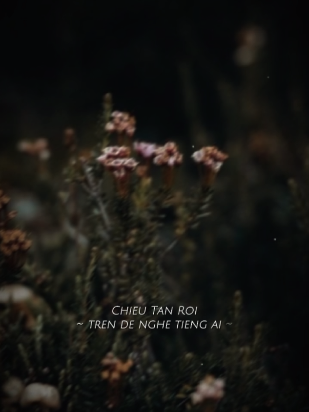 Chiều tàn rơi trên đê nghe tiếng ai... #ctien2605 #nhachaymoingay #tamtrang 