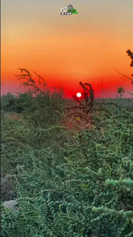 صباح العماري📸ينشدني اليريد اهيج اجروحي💔موال ونين#تصويري #تصويري_احترافي_الاجواء👌🏻🕊😴 #طرب #موال حزين#جواد الساعدي