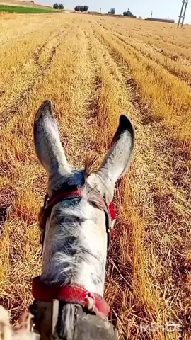 #❤️❤️🥰🥰 