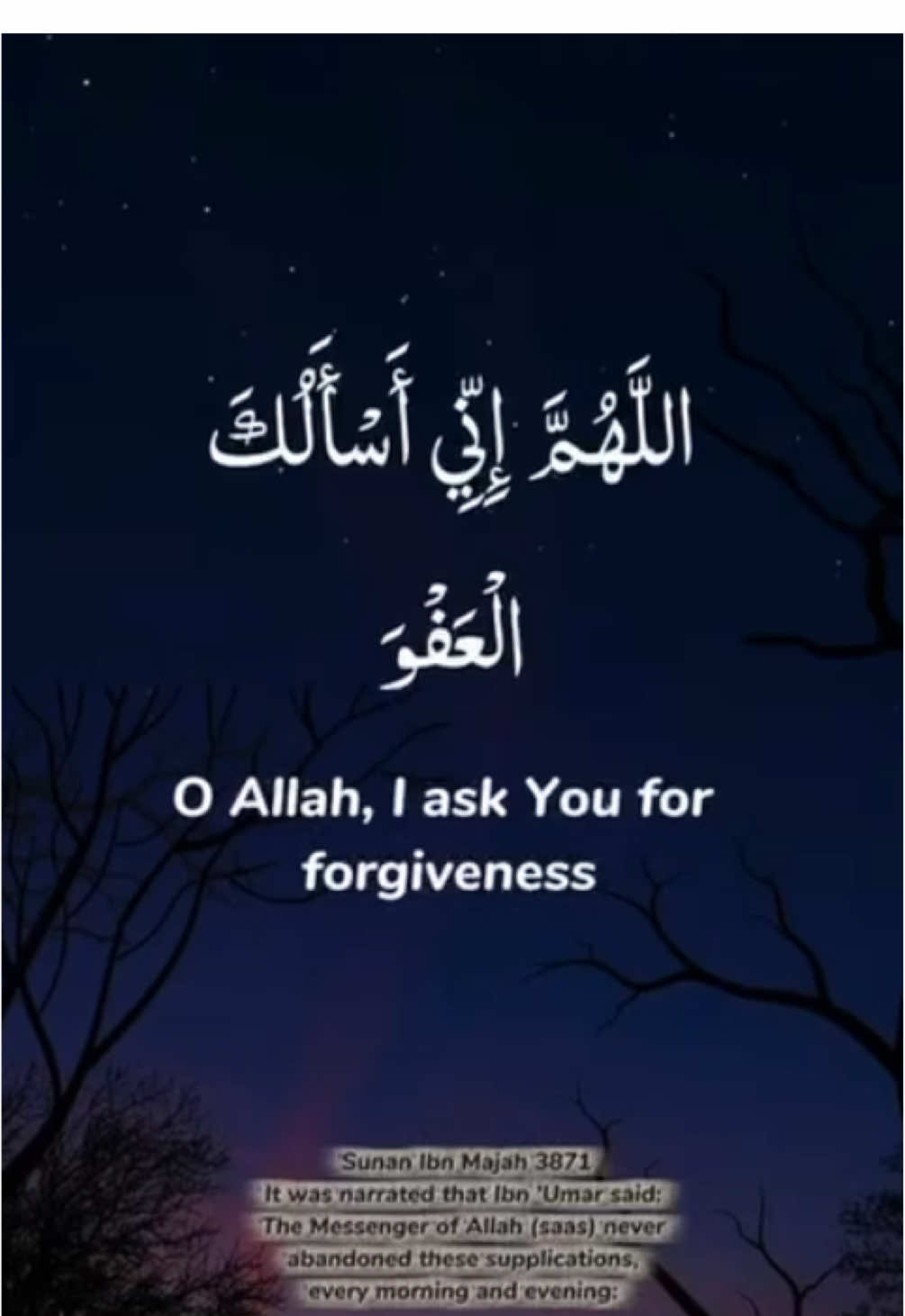 #islamic_video #fypシ゚ #foryoupage 