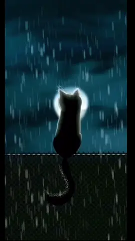 Mi suerte estaba echada, ya lo sé. @Ismael Cituk Jr. #elgatobajolalluvia #lagatabajolalluvia #rociodurcal 