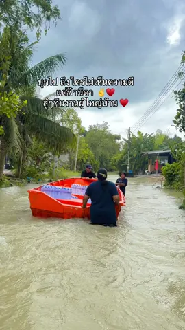 ฟ้ามีตาเสมอสู้ๆ #สาวพัทลุง #น้ำท่วมพัทลุง #น้องสีทอง🐕 #ขอคนละ1ใจดันโพสต์คอมเม้นต์จ้า 