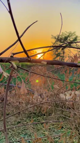 Nith teh bhaiendi tun munkh#