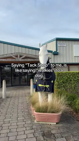 Pretty much🤣 #pov #lemieux #tackshop #lemieuxobsession #horseriding 