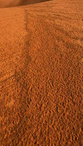 #امطار_الخير #الشتاء 