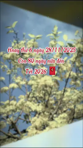 Mấy nay buổi sáng thấy se se lạnh, hẳn là không khí Tết sắp đến...! Còn 80 ngày nữa đến Tết 2026..!#tet2026#nhacxuan#nhachaymoingay#tetdongday🌸🌸#xuhuongtiktok2025♥️🔥❤️❤️ 