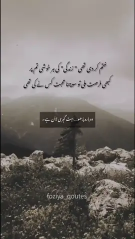 دوبارہ پڑھو… بہت گہری لائن ہے۔ #fyp #aesthetic #deeplines #urdupoetry #foziya_qoutes @Life motivation🇬🇧 
