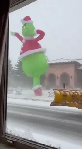 You a lil’ boo thang #christmas #decoration #grinch #fyp #sora 