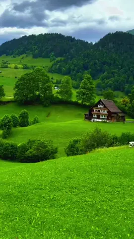 #quran #القران_الكريم 