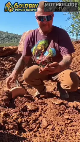 Relaxing music while metal detecting and casually finding gold #gold #goldmining #metaldetecting #prospecting #fyp