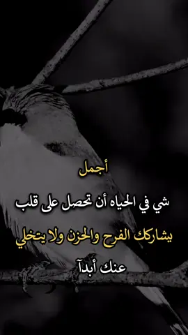 #عباراتكم_الفخمه📿📌 #افضل_عبارة_لها_تثييت #اجمل_عبارة_راح_ثبتها📌 