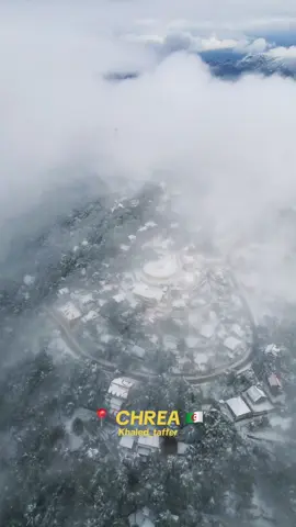 Blida Chrea 27 Novembre 2025 🏂❄️ #blida #chrea #snow #الشعب_الصيني_ماله_حل😂😂 #alger 