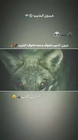 نضرات الذيب 🐺🔊متابعه عادت نشر #الشعب_الصيني_ماله_حل😂😂 #مجرد________ذووووووق🎶🎵💞 #طششونيي🔫🥺😹💞 