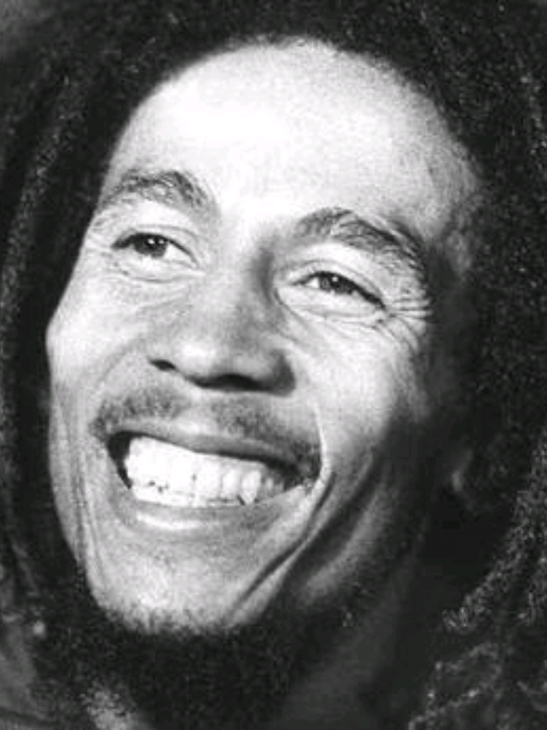 Bob Marley - Three Little Birds #bobmarley #threelittlebirds #reggae #reggaemusic #fyyyyyyyyyyyyyyyy @Vibe Musical 