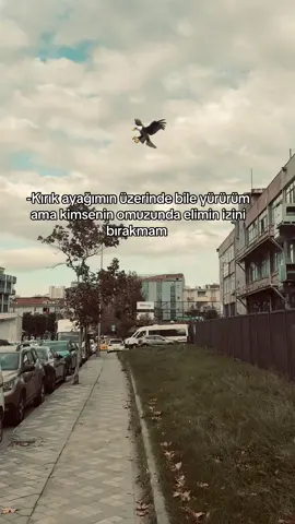 𝐑𝐀𝐂𝐎𝐍 𝐒Ö𝐙𝐋𝐄𝐑 𝐀𝐋𝐀𝐋𝐈𝐌🗽#serkanbey34 #keşfet #storytime #fypシ゚ #viralvidosu 