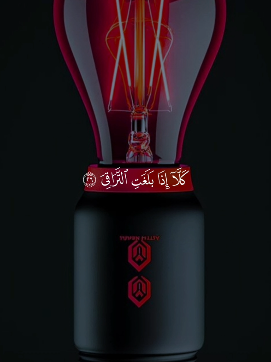 #عبدالباسط_عبدالصمد #تلاوة_خاشعة #راحه_نفسيه #quran #المنشاوي @المنشاوي القارئ الباكي 