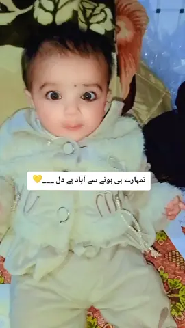 #coronavirus #dranjum279 #standwithkashmir #onthisday #ssgcommando 