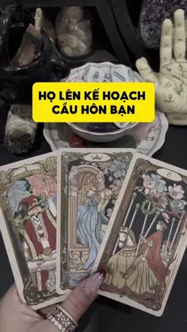 Họ lên kế hoạch cầu hôn bạn #tarotbyduong #tarotviral #manifest #xemtarot #thongdiep 