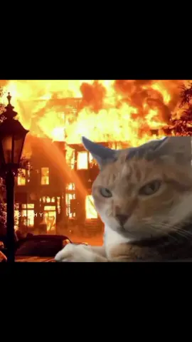 JALNEY WALO KO JALNE DO 🤣🔥 #foryoupageofficiall #balochimemes #foryoupage #balochimusic #shehy 