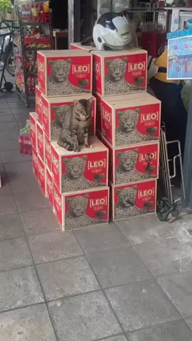 seneng lu ketemu temen mengg?😭