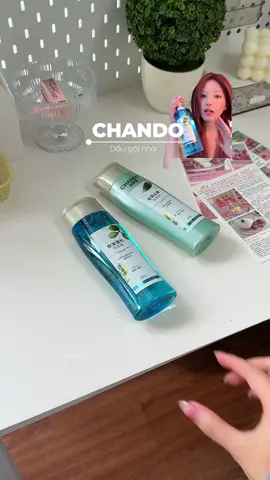 Dầu Gội thảo mộc Chando kiểm soát dầu ✨☘️☘️☘️#xuhuong #daugoi #daugoithaoduoc #daugoichando #chando 
