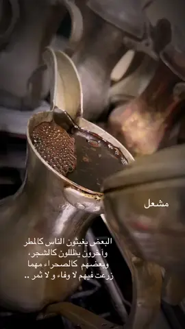 #قهوه_شماليه_تقعد_الراس #زبيدي_وافتخر #اغوى_كويتيين🇰🇼 