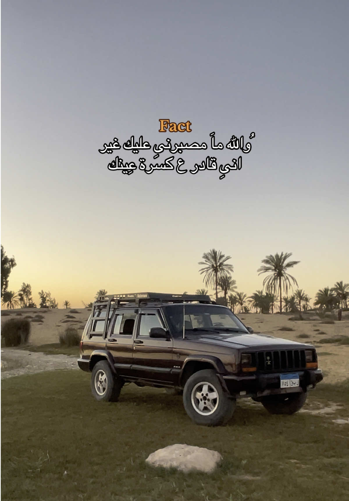 #الشعب_الصيني_ماله_حل😂😂 #viral_video #fyyyyyyyyyyyyyyyy 