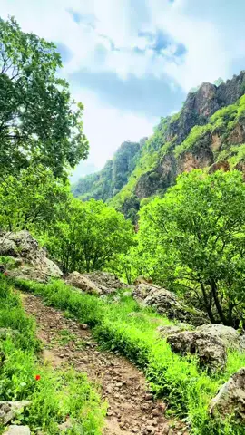 The quiet stillness, broken only by natural sounds like a gentle breeze or birdsong. #kurdistan #pirmam #masif #erbil #fyp