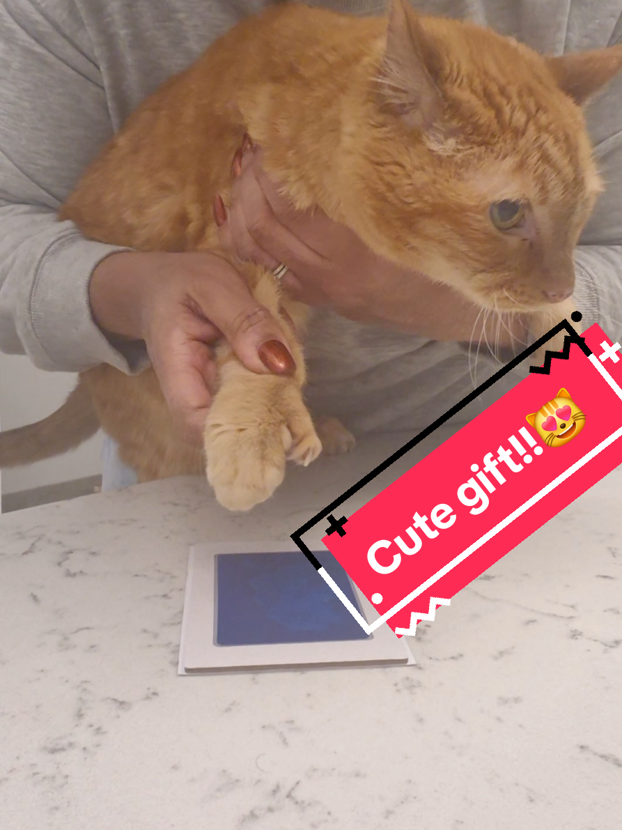 Cutest pet paw print stamp for my kitty cat!! 😻🎁🐾#christmasgift #catsoftiktok #catlover #catmom #catproducts 