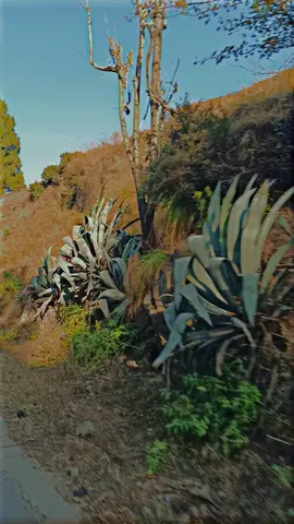 ka akhna o turi Julia 😅 #foryoupage #foryou #viralvideo #repost #kotlisattian 