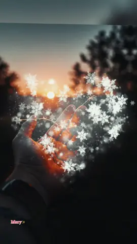 #creatorsearchinsights #alabanzas_cristianas #confiansa #señor #dios 