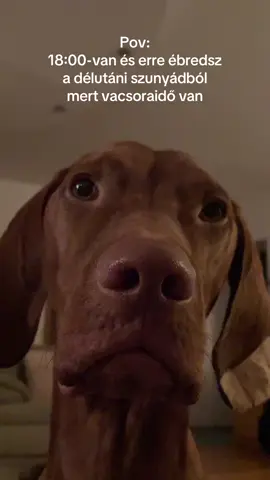 Idő van asszony keljél etetni