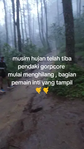 gunung mulai kondusif, pemain inti bagian tampil 🤙 #pendakisenior #pendakifomo #pendakipemula #gunungsangar 