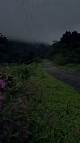 අහිමි ඇස් දෙක මාගේ