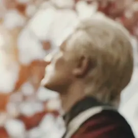 #deamon #deamontargaryen #targaryen #got #fyp 