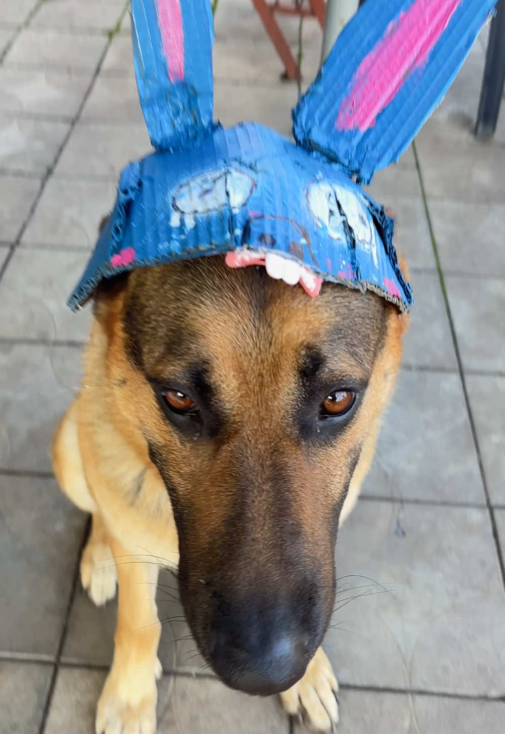 New hat, did we manage to repeat it? it’s Stich Rocky?