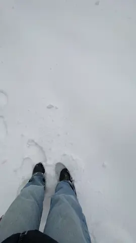 #الشعب_الصيني_ماله_حل😂😂 #snow #neige #chrea_blida09 #fyp 