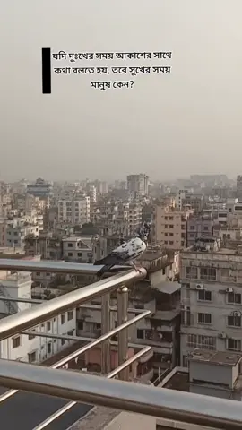 hmmm?!🙂😆😆##fyyyyyyppppppppp ##fyyyyyyppppppppp ##fyyyyyyppppppppp ##fyyyyyyppppppppp ##fyyyyyyppppppppp 