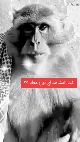 #تصميم_فيديوهات🎶🎤🎬 #ضحك #وناسه #حفلات #رقص 