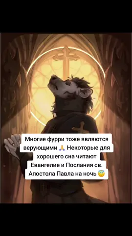 #пушистики #любовь #фурри 